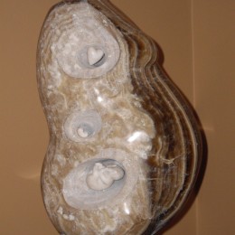 Fragment d'espoirOnyx, albâtre sur pierre St-Marc  (2009)51 x 20 x 30 cm